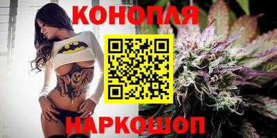 спайс Малгобек