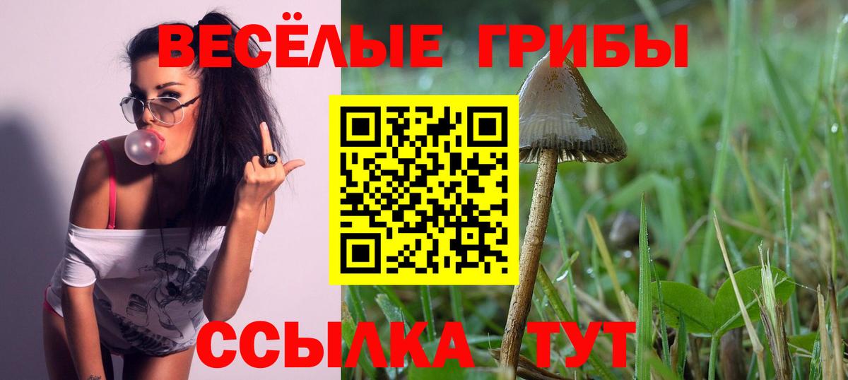 Галлюциногенные грибы Cubensis Рассказово